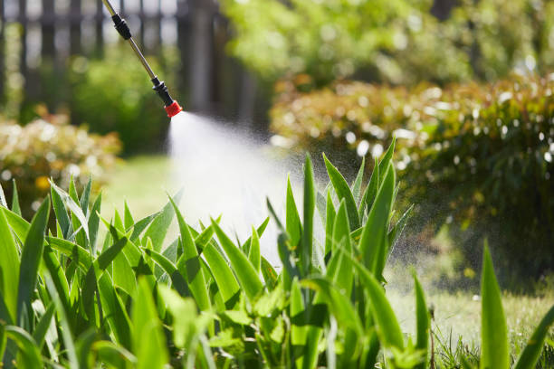 24/7 Emergency Wasp Removal experts in Cortland, OH