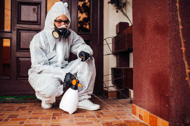 Reliable Wasp Removal contractor in Cortland, OH by Show Me Pest Control